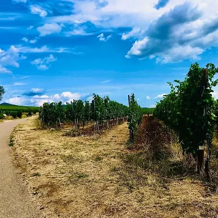 Appartement Les Vendanges A Parking Prive *