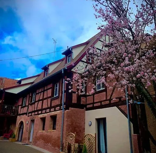 Les Vendanges A Parking Prive * Beblenheim