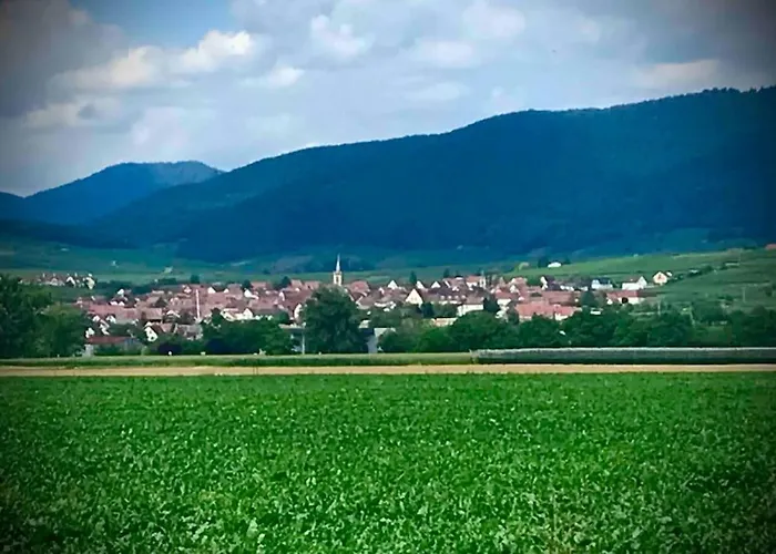 Les Vendanges A Parking Prive